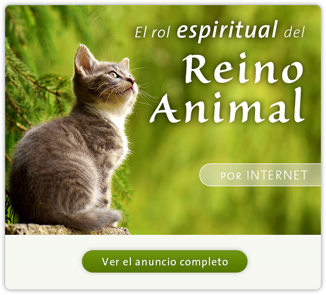 Reino Animal