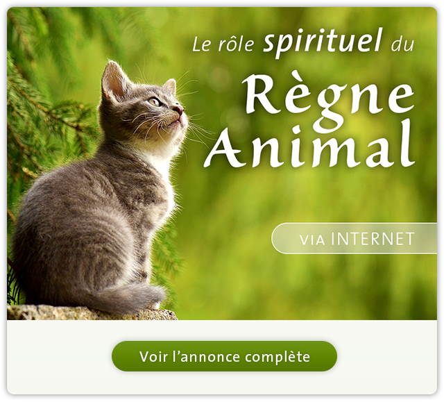 Règne Animal