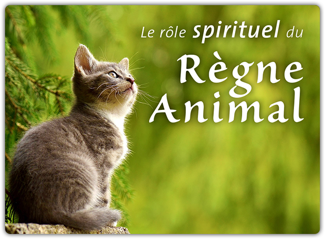 Cours & Ateliers