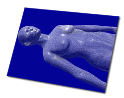 Image du DVD