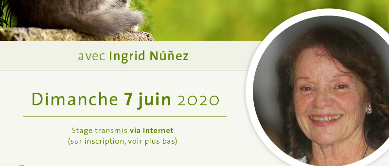 Dimanche 7 juin, via INTERNET