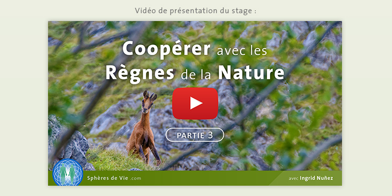 Vidéo de présentation du stage