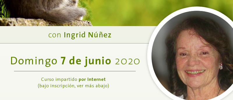 Domingo 7 de junio, por INTERNET