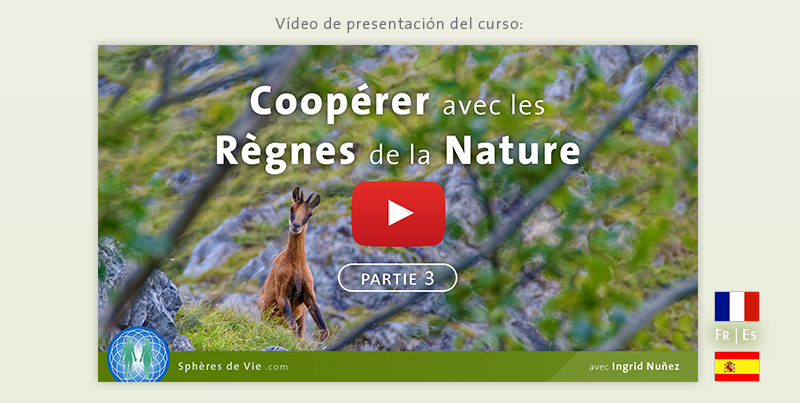 Vídeo de presentación del taller